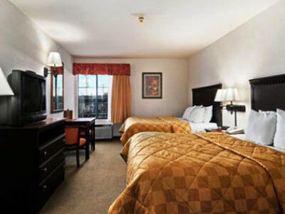 Motel Super 8 By Wyndham Farmers Branch/north Dallas 3*
